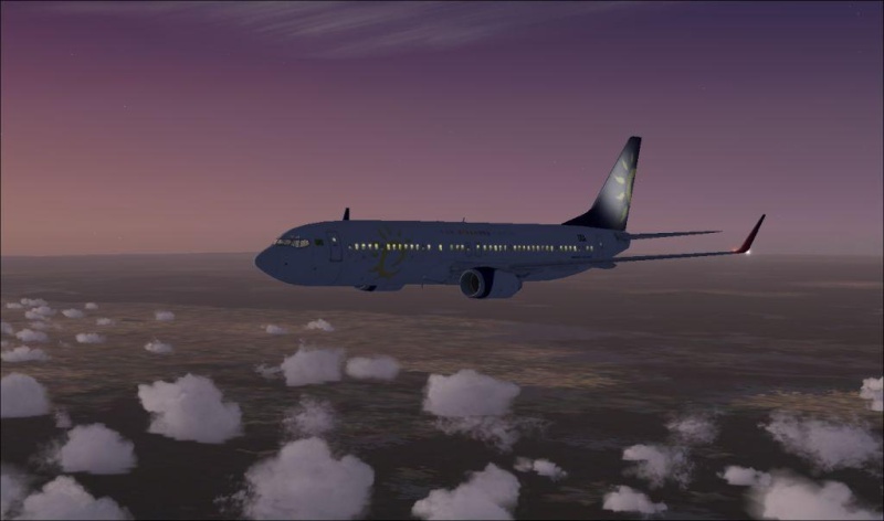 NOVA TEXTURA BOEING 737-800 DREAM SKY p/ FSX 2009-211