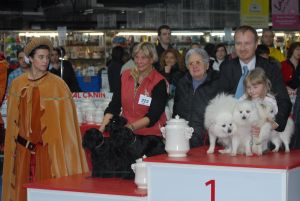 Double CACIB in Italy with Schnauzer Specialty Breede11