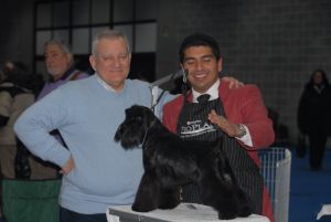 Double CACIB in Italy with Schnauzer Specialty Roby__10