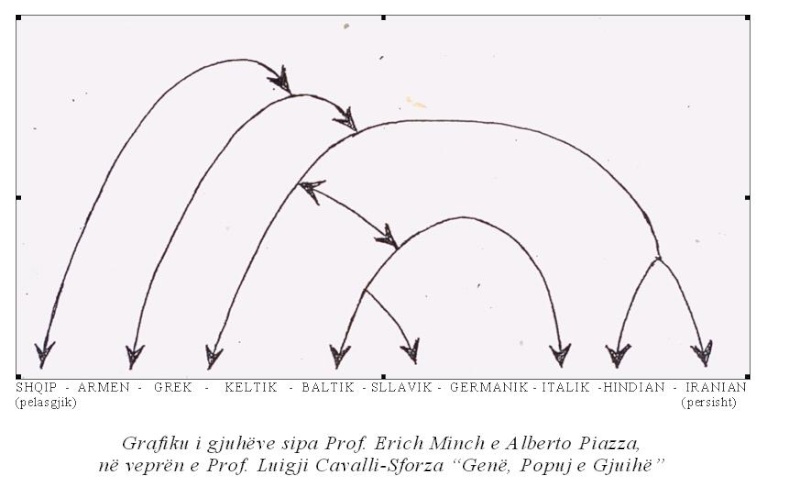 PELLASGE - ETRUSKE - SHQIPTARE  NGA LEGJENDA NE TE VERTETEN HISTORIKE Grafik12