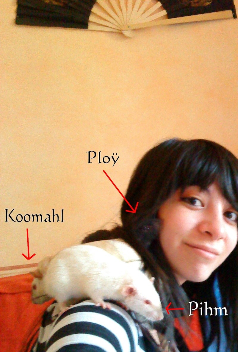 .*+ Koomahl,Mokona,Pihm & Ploÿ/New photo P.6 +*. 18_05_10