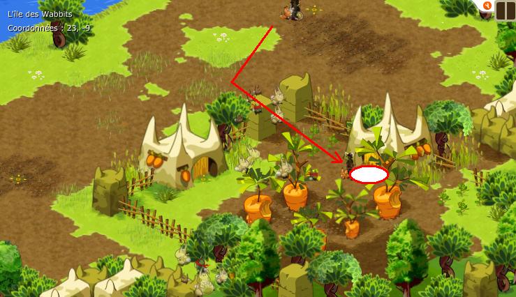 La quête du dofus cawotte: 1 ère étape LE CHEMIN WA Wa3110