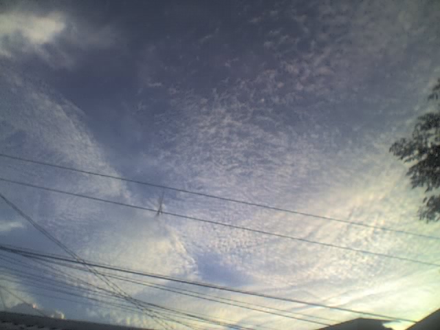 April 30, 2009 Altocumulus Clouds :] 01-05-44