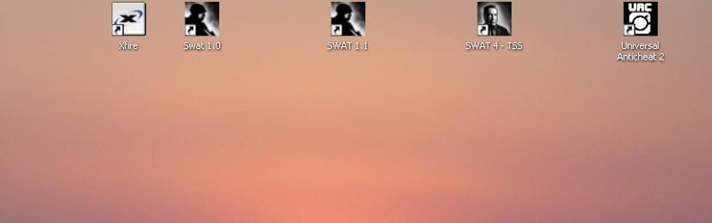 Swat 4 Stetchov Sydicate + Swat 4 v. 1.1 Deskto14