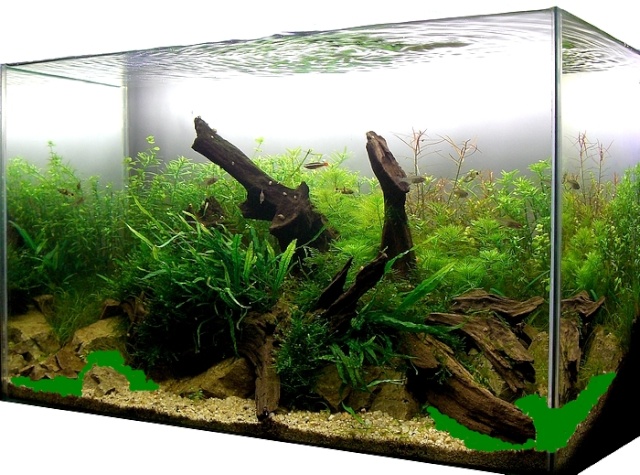 mes bacs plantes ,240L,60L,36L...nouveau 97L - Page 5 Ilotdr11