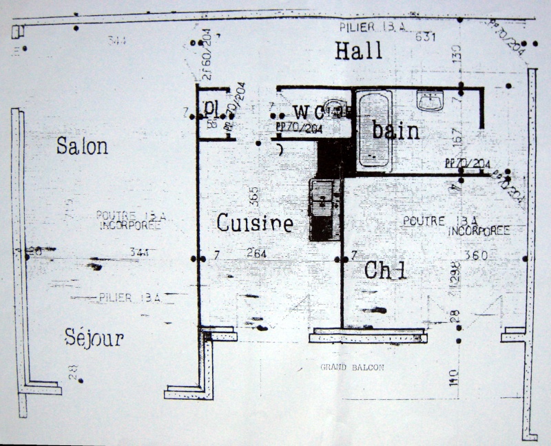 Nos Appart (ou maisons pour les plus riche !!!) Img_1410