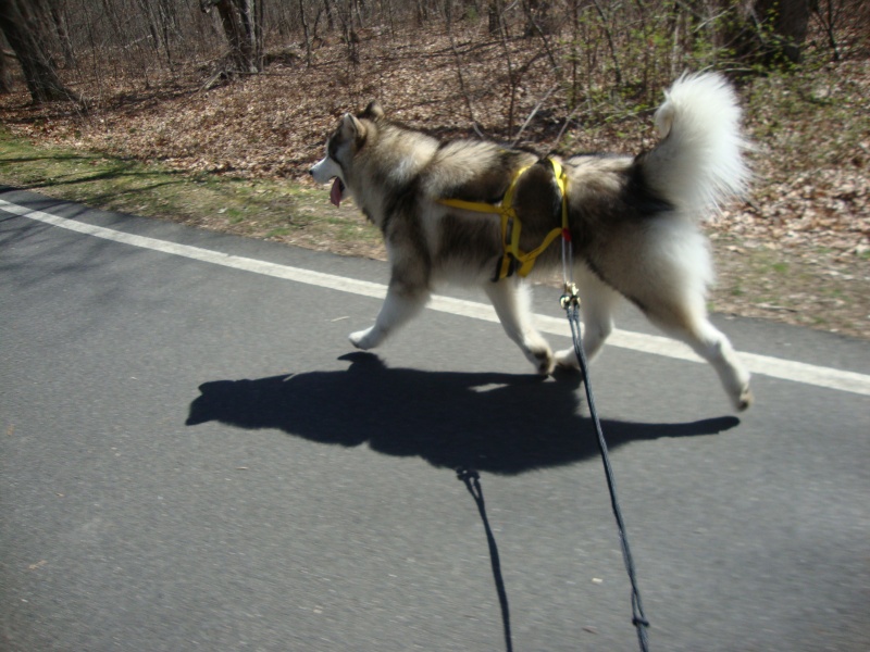 Scootering a Slater Park (MA) Dsc01211