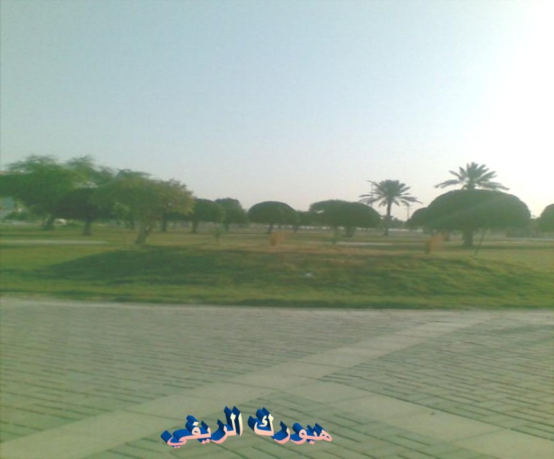 صور من صباح المملكة العربية السعودية (مدينة الخبر) Ouuoo710