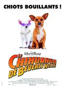 Films sur les animaux 133_8710