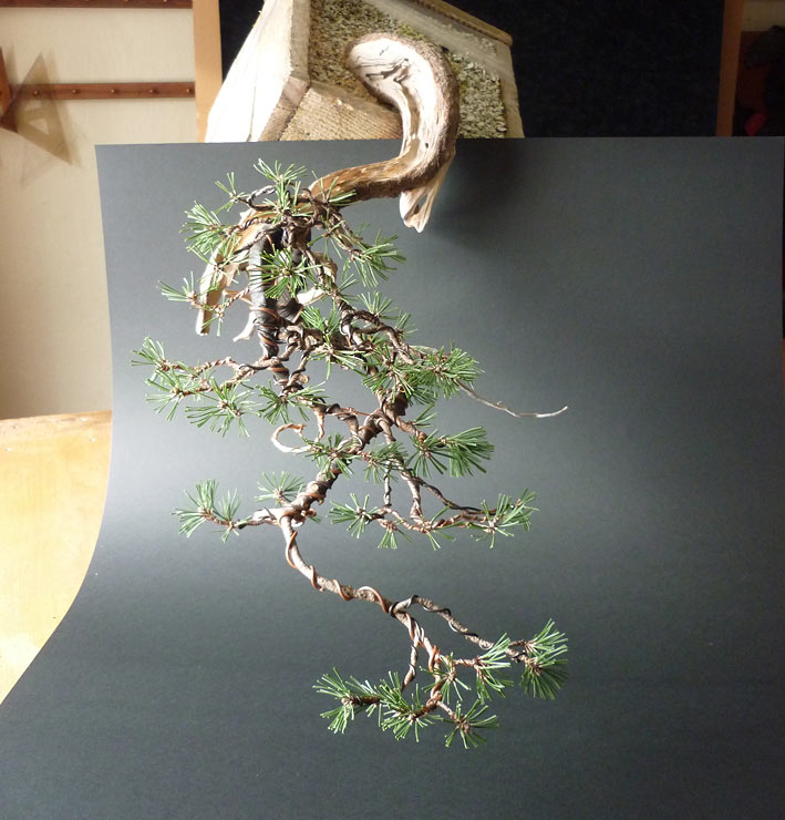 first styling - Pinus mugo, cascade - update Mugo-e11