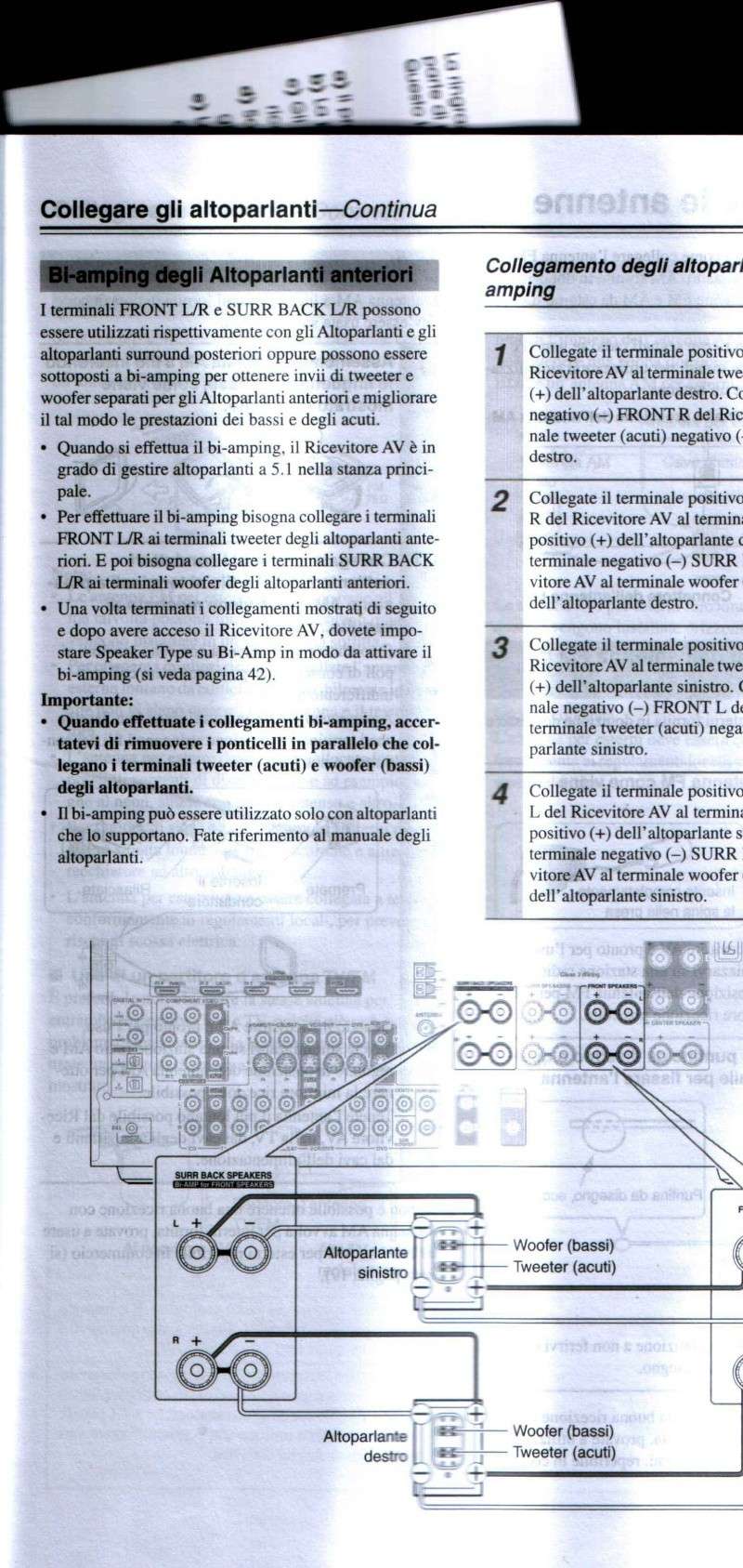 Ancora HT con Indiana Line Tesi 504 - Pagina 2 Ampli110