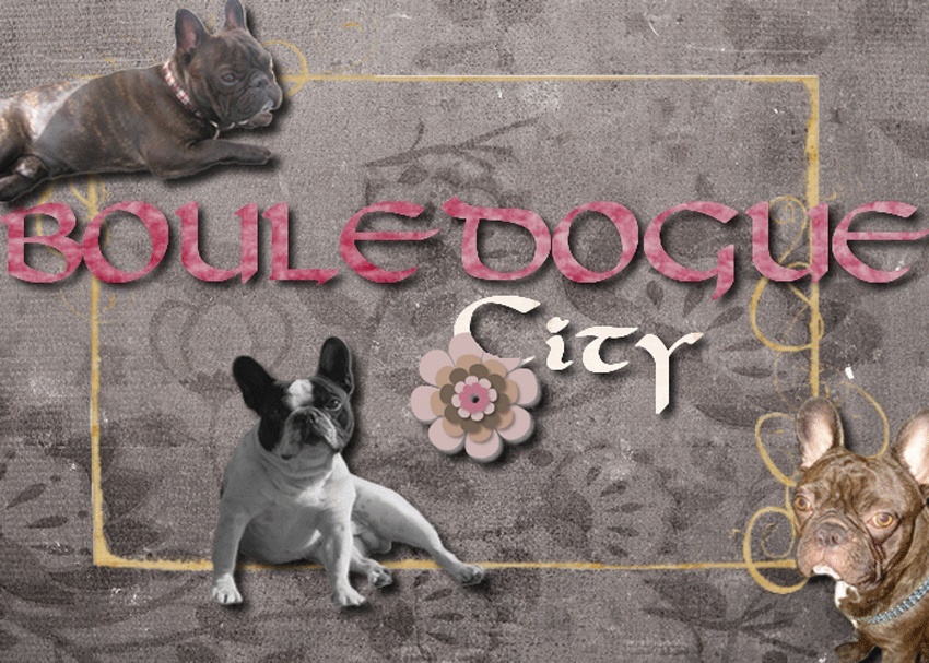 bOuLeDoGuE CiTy