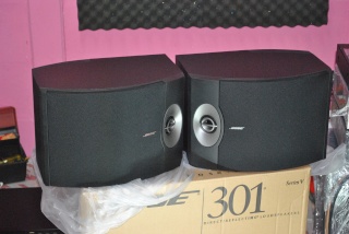 BOSE 301 Series V Speakers (Used)(SOLD) Dsc_1013