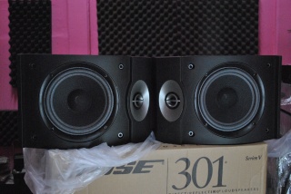 BOSE 301 Series V Speakers (Used)(SOLD) Dsc_1014