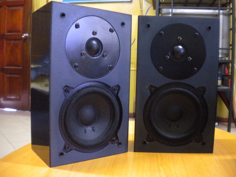 Chario Speaker (used)SOLD Dscn2014