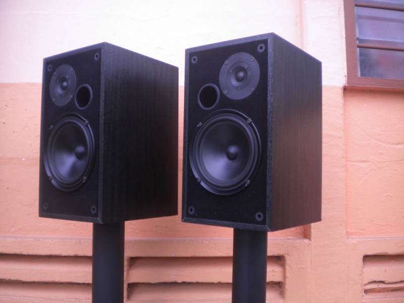 Dali 102 speaker (used)SOLD Dscn3715