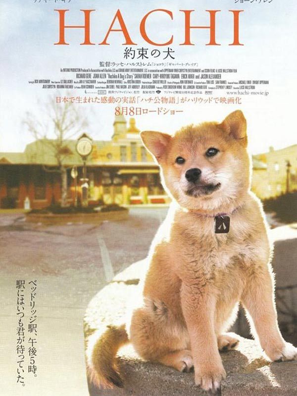 hachiko : A dog's story au cinéma !!! 19176110