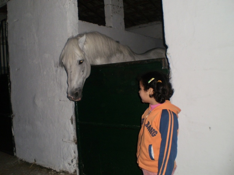 ma fille et le cheval aim Bouchr10
