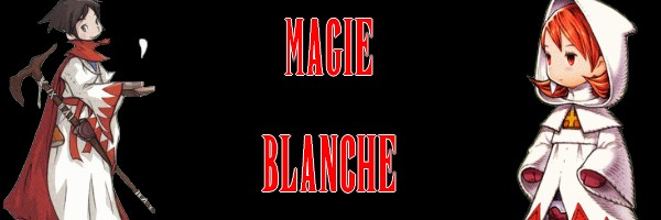 Magasin de Magie Blanche Magasi11