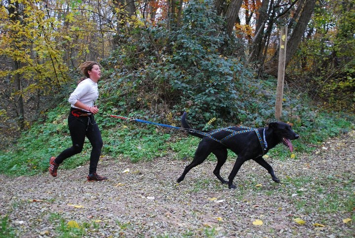 Canicross, courir avec son chien - Page 3 Cani_c14