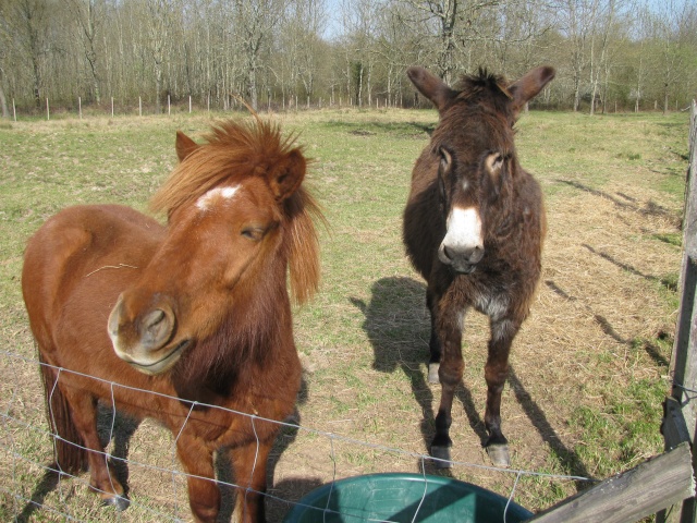 Taka ponette 1M10 adoptée par Damien et Sandrine - Page 3 Img_4914