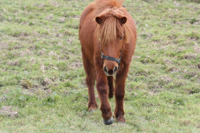 Taka ponette 1M10 adoptée par Damien et Sandrine - Page 3 Img_6230