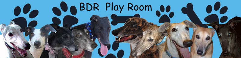 BDR Play Room