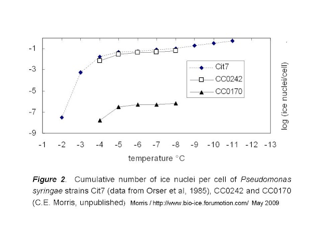 Biological ice nucleation: Is there added value of biology over inert chemistry? Diapos16