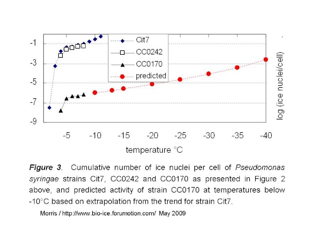 Biological ice nucleation: Is there added value of biology over inert chemistry? Diapos17