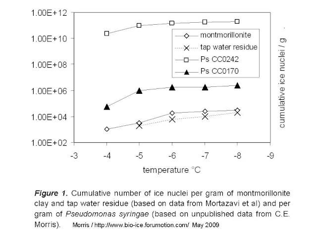 Biological ice nucleation: Is there added value of biology over inert chemistry? Figs-b11