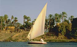 L'astrologie de l'Egypte Antique Nil11