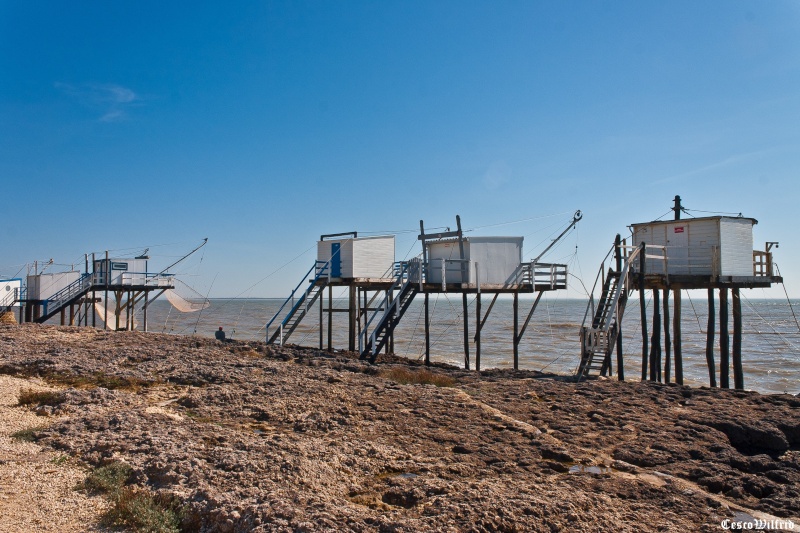 Les carrelets, les sentinelles du littoral  Crw_2023