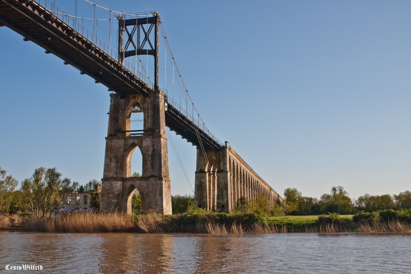 sous le pont de tonnay Crw_2210