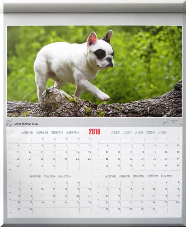 Vendredi 3 déc - Une photo de calendrier de l'Avent Dscn0028