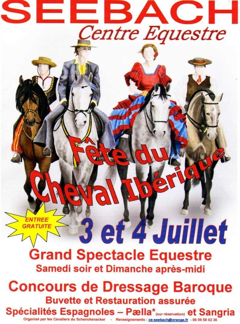 Spectacle équestre et dressage barroque Img03710