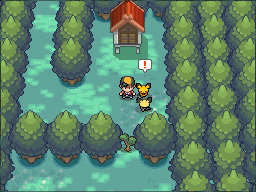 Pokémon Heartgold and Soulsilver 20090612