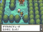Pokémon Heartgold and Soulsilver 20090622