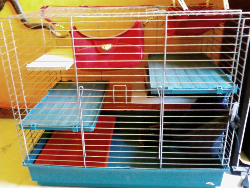Cage dans le 76 Sp_a1710