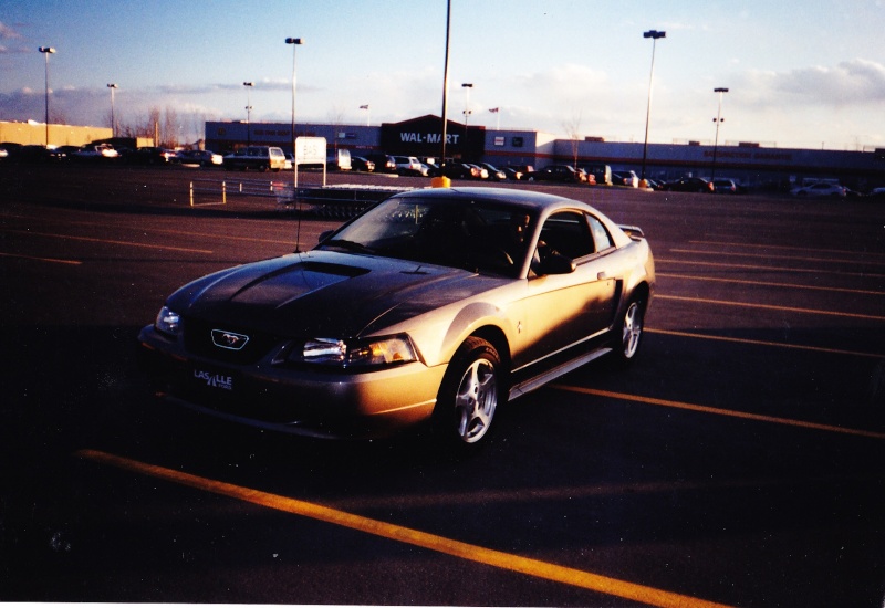 ford - Montréal Mustang: 40 ans et + d’activités! (Photos-Vidéos,etc...) - Page 10 Laval_13