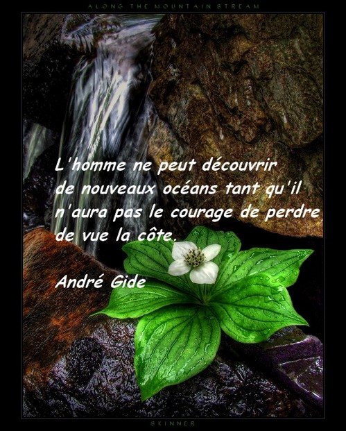 Citations et proverbes Dyn00311