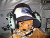 Where do you think Bear Is! 26732210