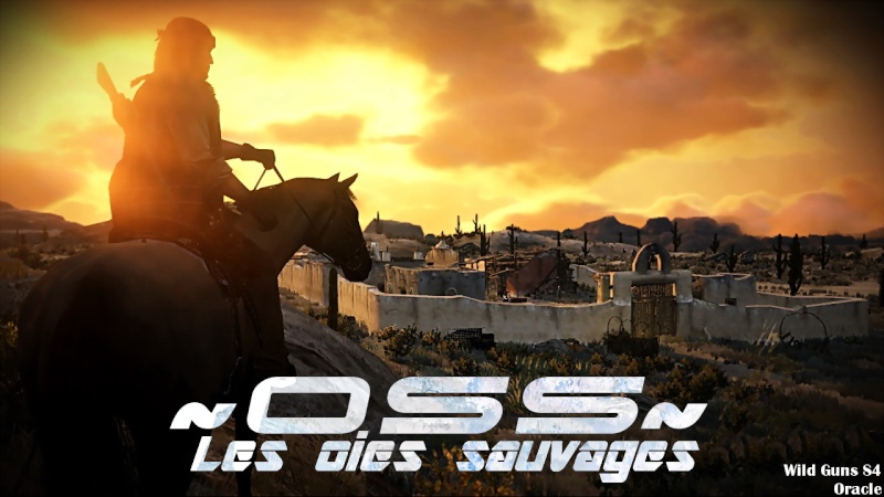 Les Oies Sauvages