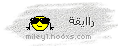 rae2aa rae2aa