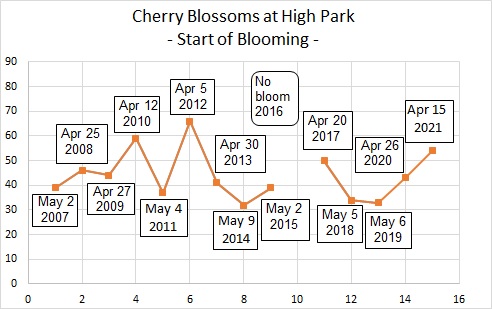 【開花宣言】ノビーの恐れを知らぬHigh Parkの桜開花予想 / [Now Blooming] Nobby's Fearless Prediction of Cherry Blossoms at High Park Ontari12