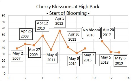 ノビーの恐れを知らぬHigh Parkの桜開花予想最終版 / Nobby's Fearless Prediction Final of Cherry Blossoms at High Park Sakura29