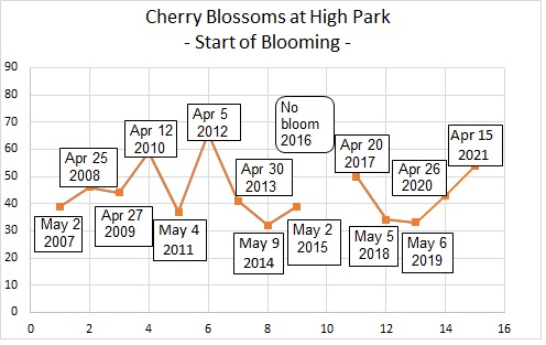 ノビーの恐れを知らぬHigh Parkの桜開花予想(概略) / Nobby's Fearless Prediction of Cherry Blossoms at High Park (Preview) Sakura42