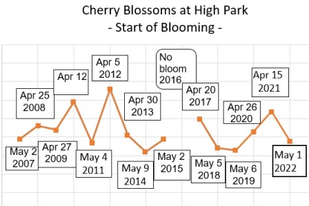 【開花宣言】ノビーの恐れを知らぬHigh Parkの桜開花予想 / [Now Blooming] Nobby's Fearless Prediction of Cherry Blossoms at High Park Sakura51