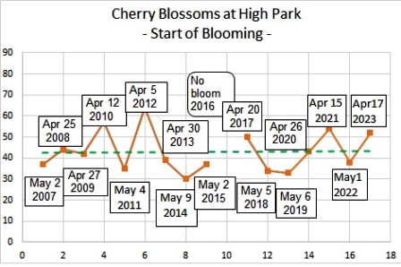 【開花宣言】のび～の恐れを知らぬHigh Parkの桜開花予想 / [Now Blooming] Nobby's Fearless Prediction of Cherry Blossoms at High Park Sakura69