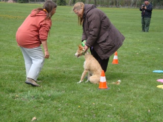 MN Coursing Association Fun Run Dsc00612