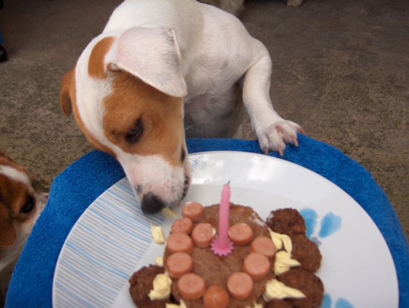 Il primo compleanno di Dory.....auguri topolina. Hpim2715